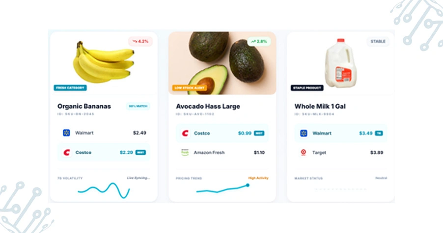 Enhancing Pricing Intelligence Through Structured Data Systems